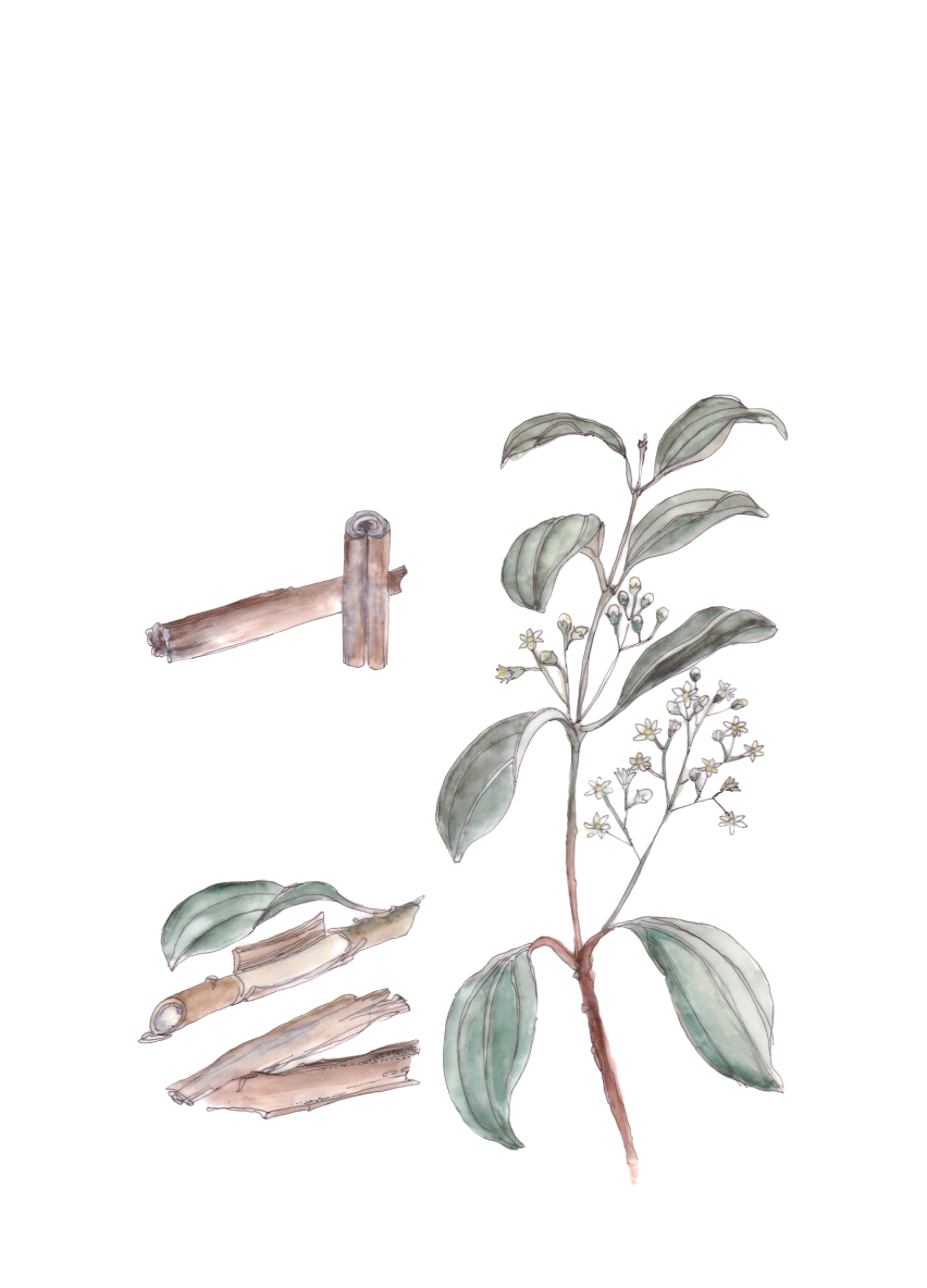 Flor decorativa