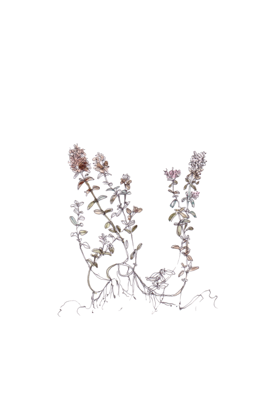 Flor decorativa