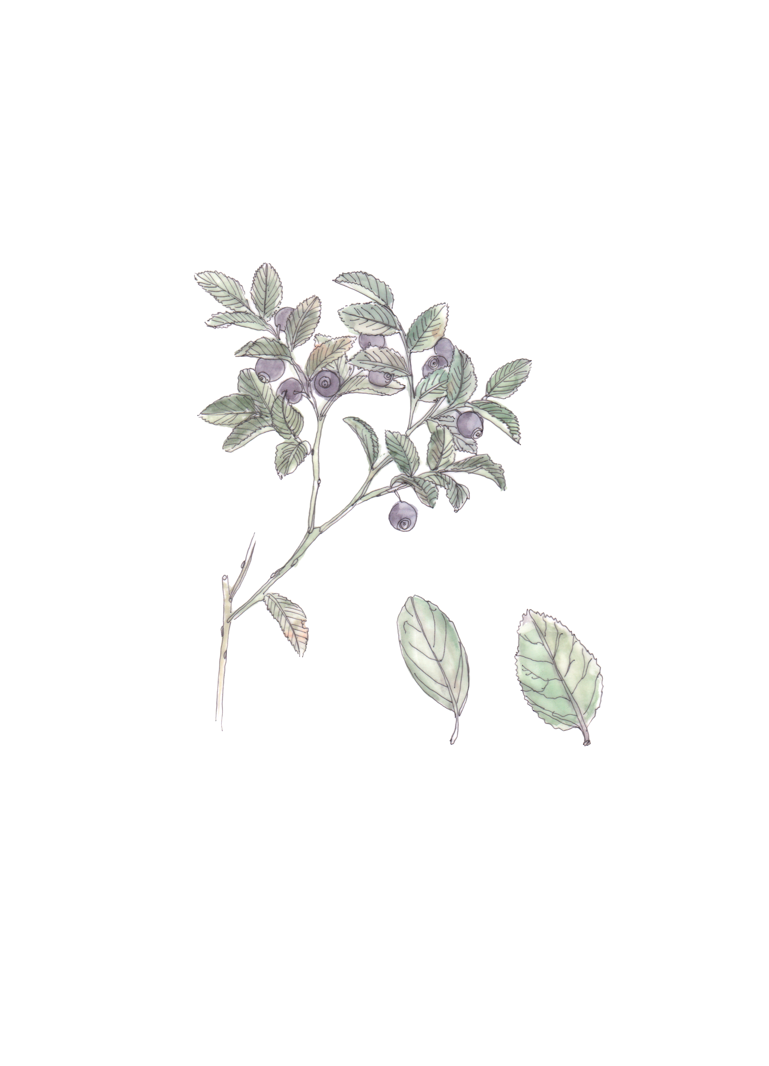 Flor decorativa