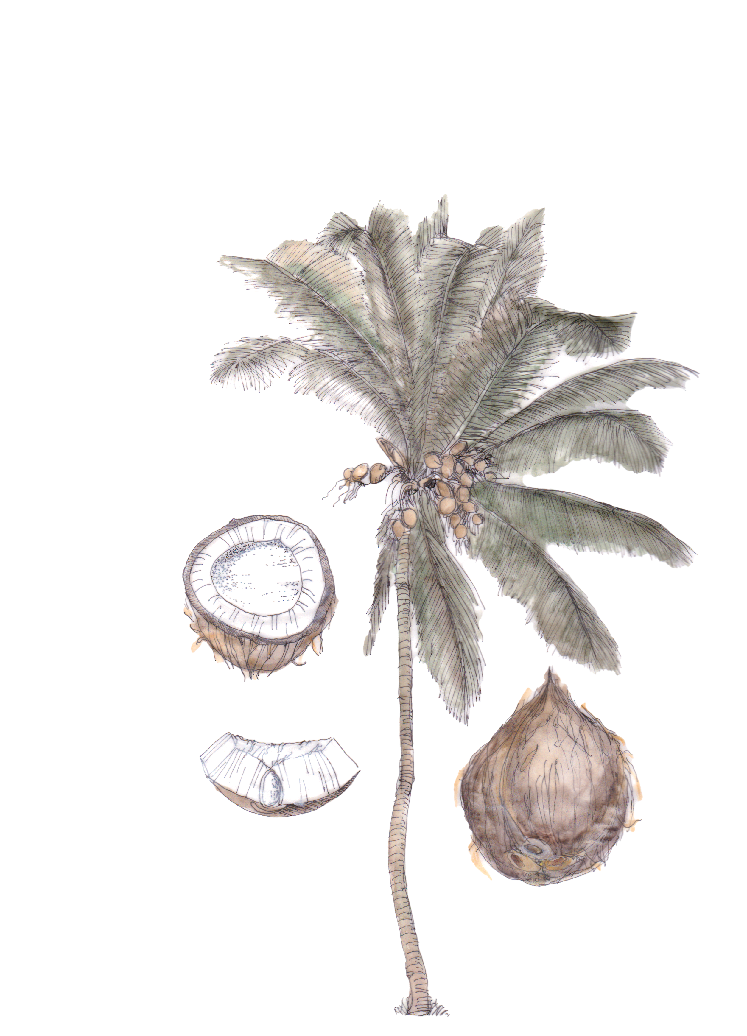 Flor decorativa