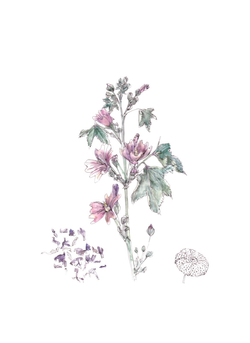 Flor decorativa