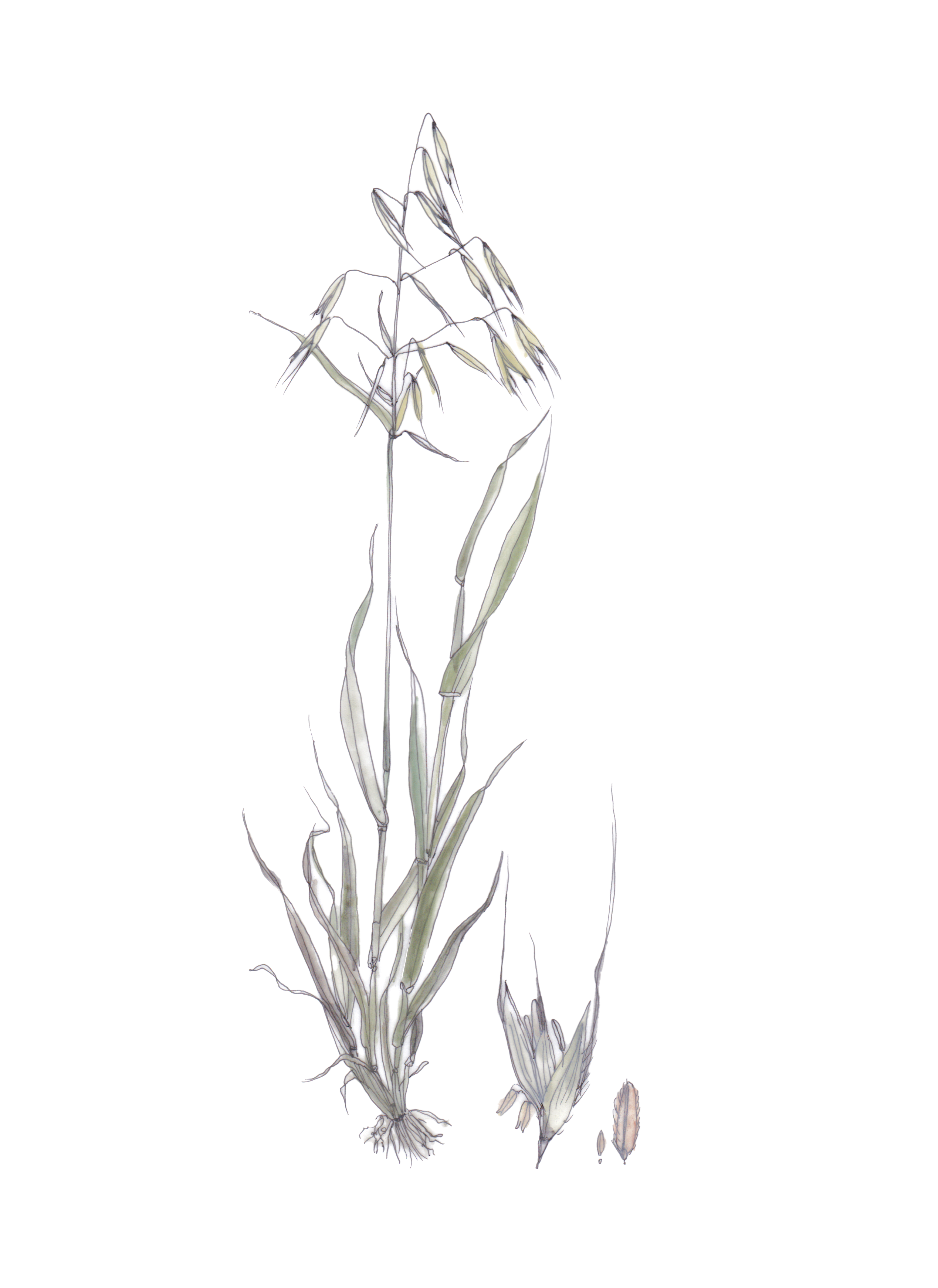 Flor decorativa