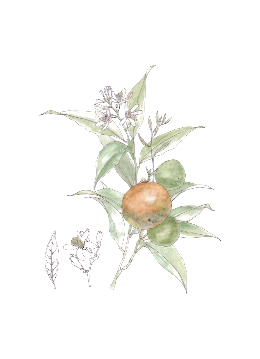 Flor decorativa