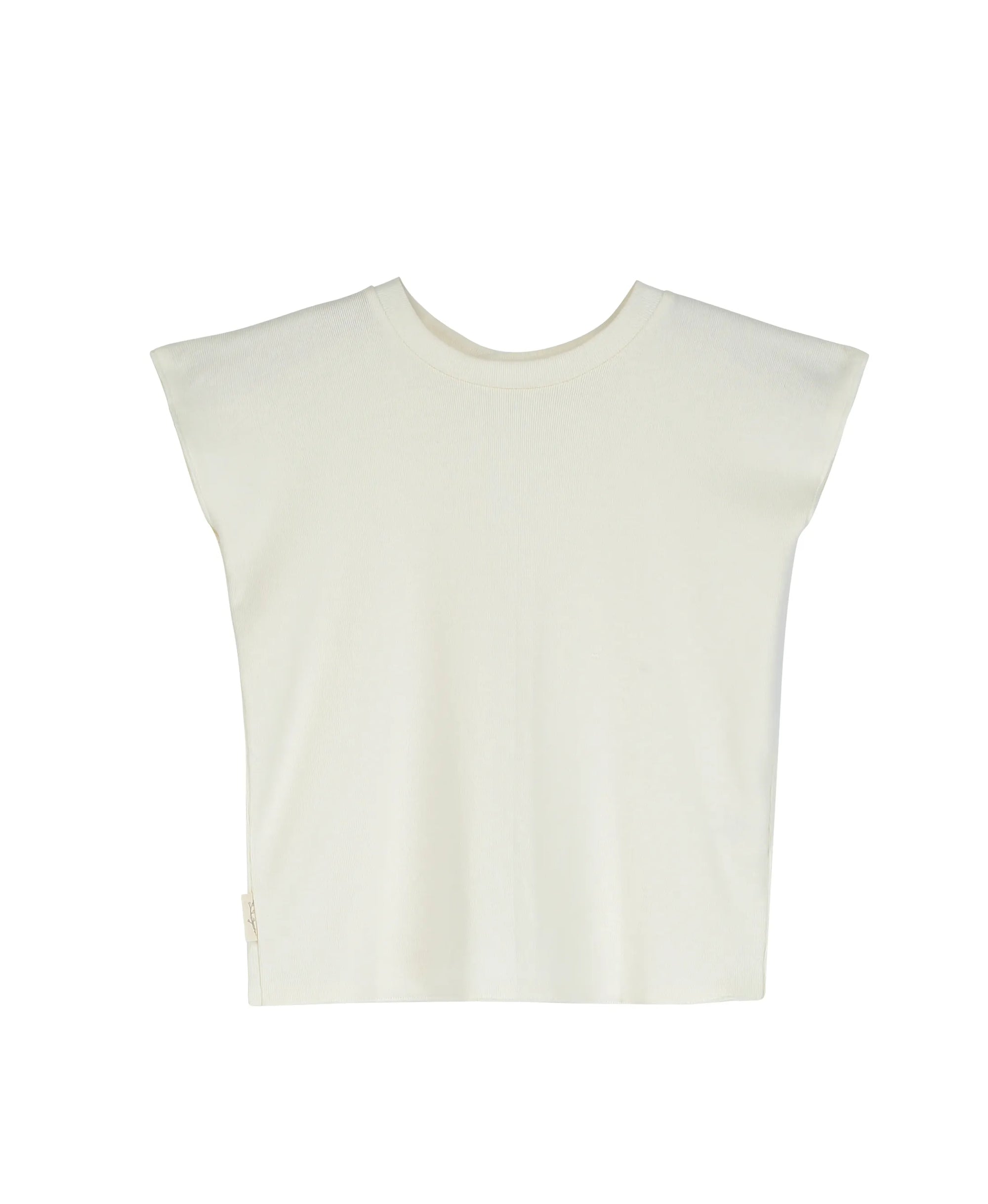 Camiseta Aloe
