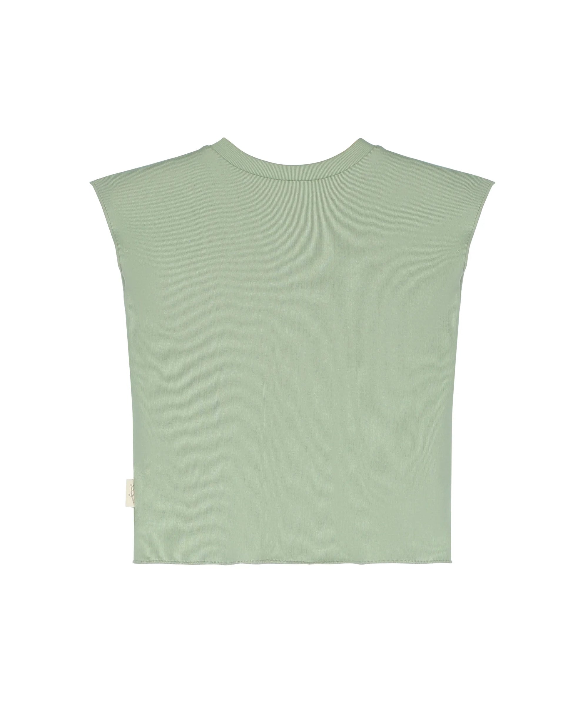 Camiseta Aloe
