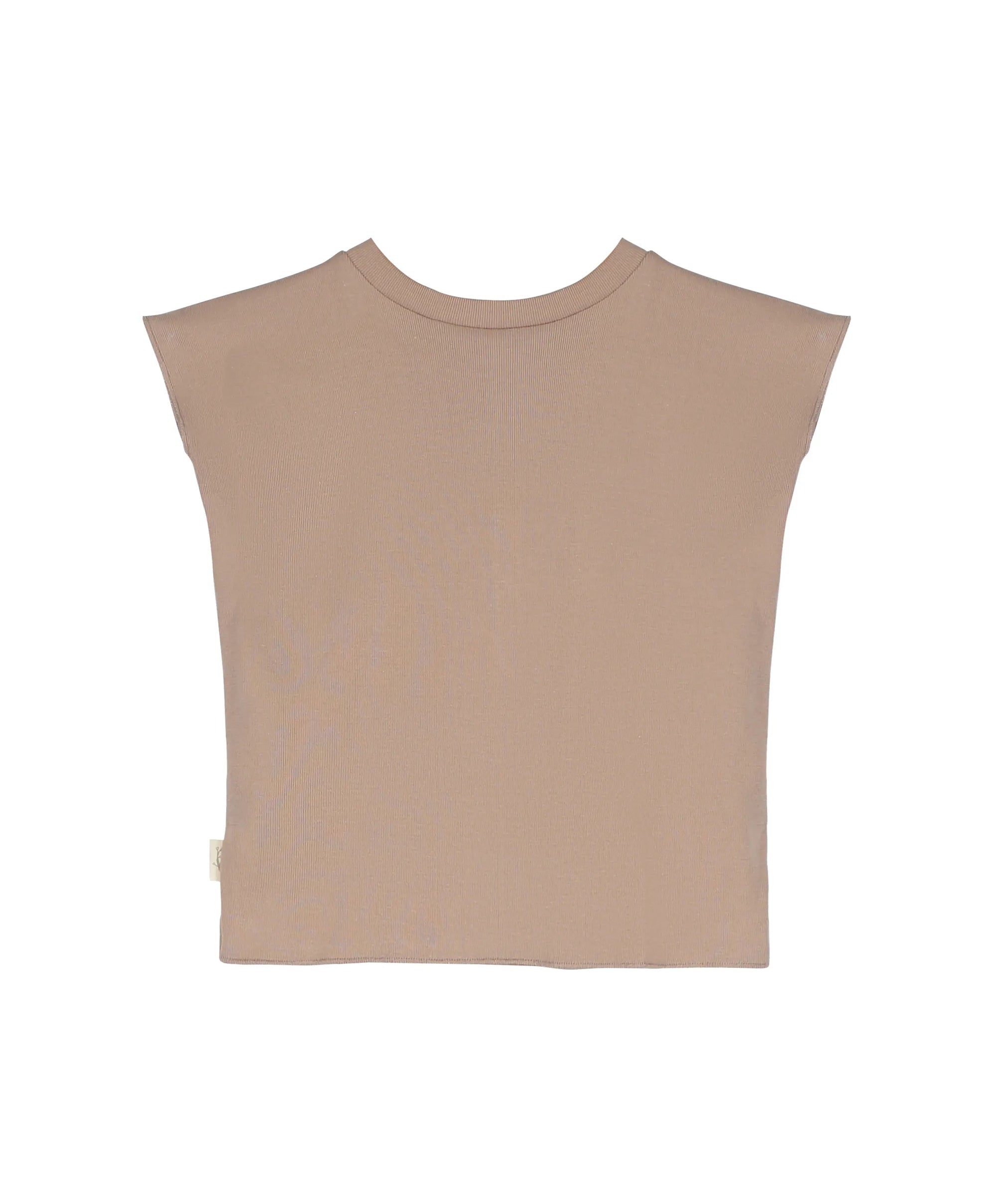 Camiseta Aloe