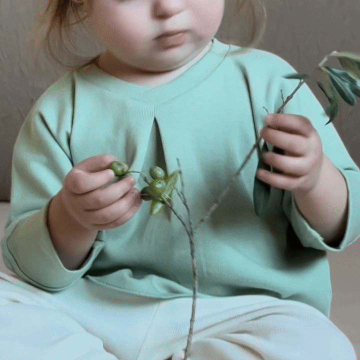 Mandarina Shirt in Green Sage